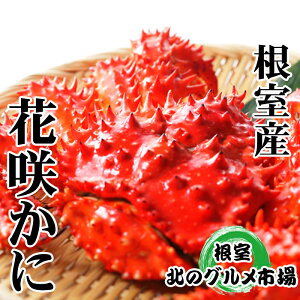 yӂ邳Ɣ[Łz [kCY] ԍ炩 500g O ~ 650g O × 1  ԍ炪 ԍ ԍKj ԍI  Jj I  O CN kC s ӂ邳Ɣ[ A-76029