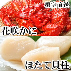 yӂ邳Ɣ[Łzԍ炩300gO`450gO×1AقĊL200g A-76037