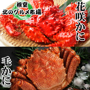 yӂ邳Ɣ[Łz т 400g O ~ 550g O × 1 Aԍ炩 500g O ~ 650g O × 1  ԍ炪 ԍ ԍKj ԍI т ъI  PKj  Jj I  O CN k