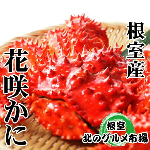 yӂ邳Ɣ[Łz [kCY] ԍ炩 300g ~ 450g O × 6  ԍ炪 ԍ ԍKj ԍI  Jj I  O CN {C 䥂ŊI 䥂ł 䥂ŃKj kC s ӂ邳
