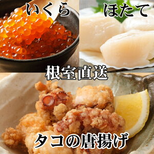yӂ邳Ɣ[Łz g 250g × 2PAقĊL 500g × 1PAݖЂ 100g × 1P z^e ق  L z^eL L  ^R  O CN 炠  kC 