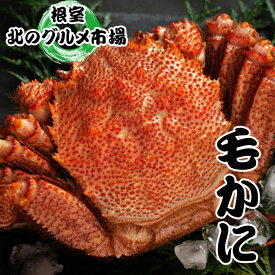 【ふるさと納税】【12月21日決済確定分まで年内配送】 毛かに 400g ~ 550g 前後 × 4 尾 毛がに 毛蟹 けがに ケガニ かに カニ 蟹 お取り寄せ グルメ 海鮮 北海道 根室市 ふるさと納税 D-76010