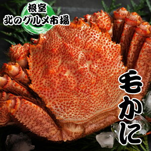 yӂ邳Ɣ[Łz т 400g ~ 550g O × 4  т ъI  PKj  Jj I  O CN kC s ӂ邳Ɣ[ D-76010