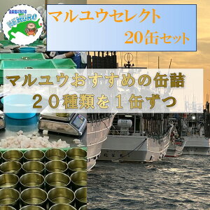 yӂ邳Ɣ[Łz}EZNg20 D-78017