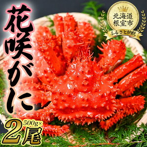 yӂ邳Ɣ[Łz [kCY] ԍ炪 500g O × 2 Zbg ԍKj ԍ ԍ炩 ԍI  Jj I  O CN {C 䥂ŊI 䥂ł 䥂ŃKj kC s ӂ