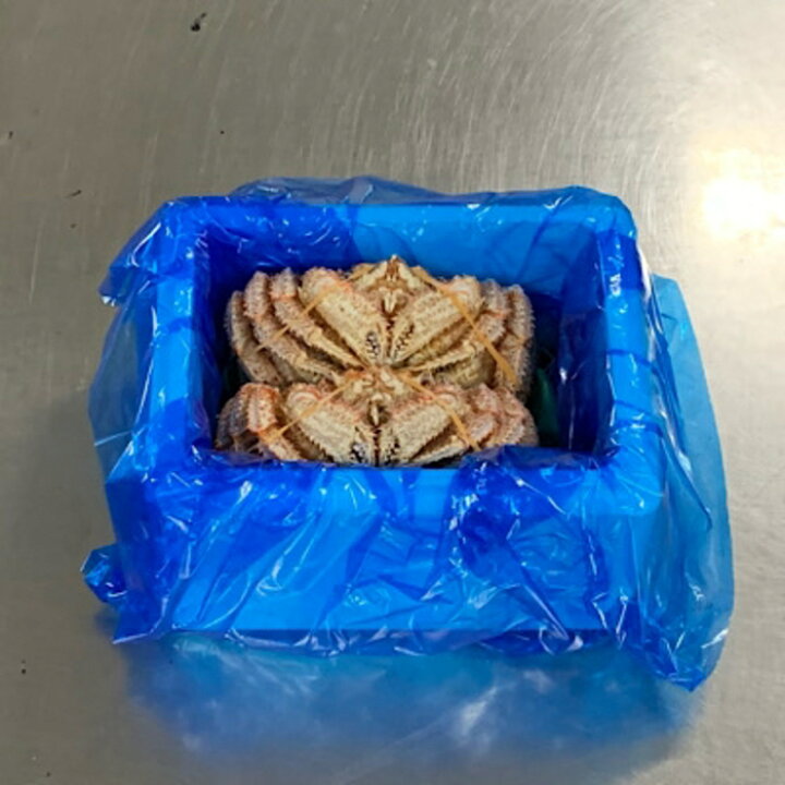 0円 日本メーカー新品 ふるさと納税 根室市 毛がに400g×2尾 B-54009 0円 日本メーカー新品 ふるさと納税 根室市 毛がに400g×2尾 B-54009