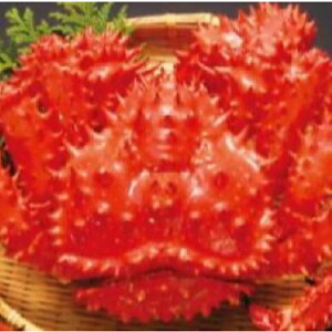 yӂ邳Ɣ[Łz ԍKj{CⓀ 1.5kg O × 1  ԍ炪 ԍ ԍ炩 ԍI  Jj I  O CN {C 䥂ŊI 䥂ł 䥂ŃKj kC s ӂ邳Ɣ[ D-