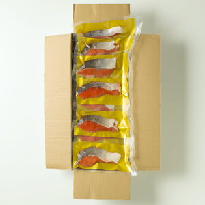 yӂ邳Ɣ[Łz YVRng 1  (  80g ) Iׂ ^ × 8P ^ × 15P TP   g gTP gUP ׂɂ CN Ⴏ VP  O É   ؂g 