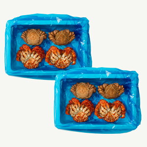 yӂ邳Ɣ[Łz ԍ炪 500g OAт 350g OZbg e 1  ( v 2  ) ` e 4  ( v 8  ) Jj ԍKj ԍI уKj ъI ԍ ԍ炩  I {C 䥂ŊI 䥂ł 䥂ŃK