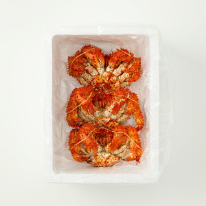 yӂ邳Ɣ[Łz [kCY] ԍ炪 500g O Iׂ 2  ~ 3  Jj  I ԍKj ԍI CN CY ԍ ԍ炩  O {C 䥂ŊI 䥂ł 䥂ŃKj kC 