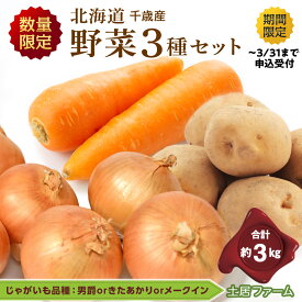 【ふるさと納税】じゃがいも・たまねぎ・にんじん 約3kg セット野菜 にんじん 人参 じゃがいも ヤーコン たまねぎ 玉ねぎ セット 詰め合わせ【北海道千歳市】ギフト ふるさと納税