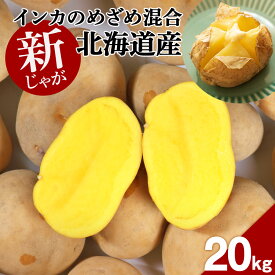 【ふるさと納税】 【 2025年 新じゃが 】インカのめざめ 混合 20kg いも 芋 じゃがいも ジャガイモ インカ 野菜 北海道 千歳【北海道千歳市】ギフト ふるさと納税