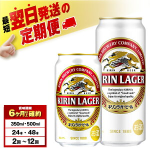 yӂ邳Ɣ[ŁzyIׂցzLK[r[kC΍HY 350mlE500ml i24`48{jkCӂ邳Ɣ[ r[  P[X r[ӂ邳Ɣ[ kC MtgykCΎs