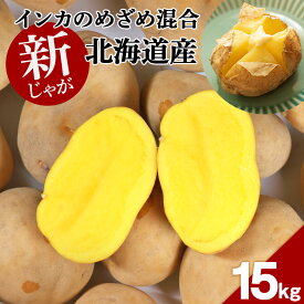 【ふるさと納税】【 2025年 新じゃが 】インカのめざめ 混合 15kg いも 芋 じゃがいも ジャガイモ インカ 野菜 北海道 千歳【北海道千歳市】野菜 じゃがいも