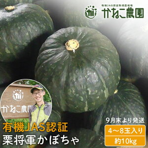 yӂ邳Ɣ[Łzy2025N9蔭z͔|Ԕ_sgpIL@IRڂ 4`8ʓi10kgjy˂_zkCӂ邳Ɣ[  Z L@͔| L@ JASFޏ kC 