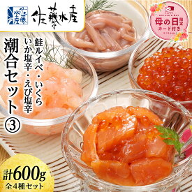 【ふるさと納税】【母の日フェア 4/27入金分まで】佐藤水産 潮合セット(3)鮭ルイベ・いくら・いか塩辛・えび塩辛魚貝類 サーモン えび 塩辛 鮭 イカ 魚貝類 漬魚 いくら 醤油漬け【北海道千歳市】ギフト ふるさと納税