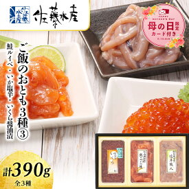 【ふるさと納税】【母の日フェア 4/27入金分まで】佐藤水産 ご飯のおとも3種3鮭ルイベ漬・いか塩辛・いくら醤油漬 魚貝類 サーモン いか 塩辛 鮭 魚貝類 漬魚 いくら 醤油漬け【北海道千歳市】ギフト ふるさと納税
