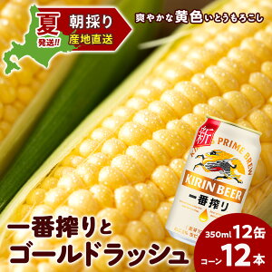 yӂ邳Ɣ[Łz2026NĔ Lԍ 350ml 12ʁFƂ낱S[hbV12{ kCΎY  Ƃ낱 Ƃ Lr[ iكr[ r[ ykC