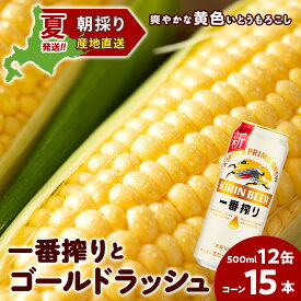 【ふるさと納税】2026年夏発送 キリン一番搾り 500ml 12缶＆黄色いとうもろこしゴールドラッシュ15本 北海道千歳産 野菜 とうもろこし とうきび キリンビール 麒麟ビール ビール 【北海道千歳市】ギフト ふるさと納税 麒麟 KIRIN