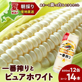 【ふるさと納税】2026年夏発送 キリン一番搾り 500ml 12缶＆白いとうもろこしピュアホワイト14本 北海道千歳産 野菜 とうもろこし とうきび キリンビール 麒麟ビール ビール 【北海道千歳市】ギフト ふるさと納税 麒麟 KIRIN