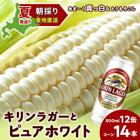【ふるさと納税】2026年夏発送 キリンラガービール 500ml 12缶＆白いとうもろこしピュアホワイト14本 北海道千歳産 野菜 とうもろこし とうきび キリンビール 麒麟ビール ビール 【北海道千歳市】ギフト ふるさと納税 麒麟 KIRIN