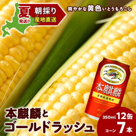 【ふるさと納税】2026年夏発送 キリン本麒麟350ml 12缶＆黄色いとうもろこしゴールドラッシュ7本 北海道千歳産 野菜 とうもろこし とうきび キリンビール 麒麟ビール ビール 【北海道千歳市】ギフト ふるさと納税 KIRIN
