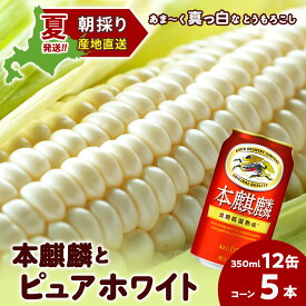 【ふるさと納税】2026年夏発送 キリン本麒麟350ml 12缶＆白いとうもろこしピュアホワイト5本 北海道千歳産 野菜 とうもろこし とうきび キリンビール 麒麟ビール ビール 【北海道千歳市】ビール ギフト ふるさと納税 KIRIN