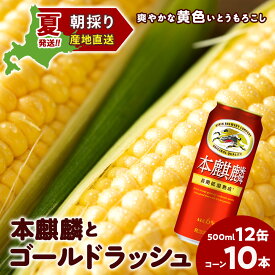 【ふるさと納税】2026年夏発送 キリン本麒麟500ml 12缶＆黄色いとうもろこしゴールドラッシュ10本 北海道千歳産 野菜 とうもろこし とうきび キリンビール 麒麟ビール 【北海道千歳市】ビール ギフト ふるさと納税 麒麟 KIRIN