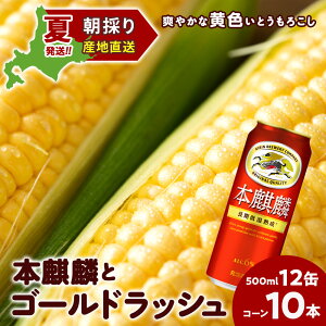 yӂ邳Ɣ[Łz2026NĔ L{i500ml 12ʁFƂ낱S[hbV10{ kCΎY  Ƃ낱 Ƃ Lr[ iكr[ ykCΎszr[