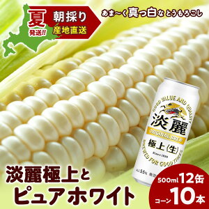 yӂ邳Ɣ[Łz2026NĔ LWɏ() 500ml 12ʁƂ낱sAzCg10{ kCΎY  Ƃ낱 Ƃ Lr[ iكr[ r[ ykC