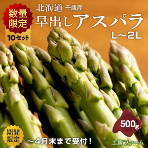 yӂ邳Ɣ[ŁznEX͔| oAXp500gyyt@[zkCӂ邳Ɣ[  AXp AXpKX O[AXp kC ΎsykCΎszMtg ӂ邳Ɣ[