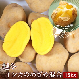 【ふるさと納税】 越冬インカのめざめ混合 15kg北海道ふるさと納税 ふるさと納税 北海道 野菜 千歳市 グルメ 野菜 イモ ジャガイモ インカのめざめ【北海道千歳市】ギフト ふるさと納税