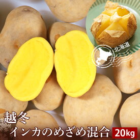 【ふるさと納税】 越冬インカのめざめ混合 20kg北海道ふるさと納税 ふるさと納税 北海道 野菜 千歳市 グルメ 野菜 イモ ジャガイモ インカのめざめ【北海道千歳市】ギフト ふるさと納税