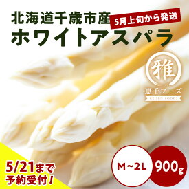 【ふるさと納税】 2026年春発送 ホワイトアスパラ 900g M〜2L 北海道千歳産 野菜 ホワイトアスパラ アスパラガス アスパラ 2026年5月中旬〜6月上旬にかけて順次発送　にかけて順次発送 【北海道千歳市】ギフト ふるさと納税