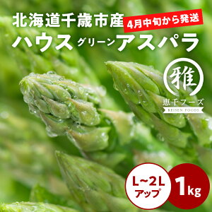 yӂ邳Ɣ[Łz 2026Nt nEXO[AXp 1kg L`2LAbv kCΎY  AXpKX AXp 2026N4{菇@ kCӂ邳Ɣ[ Ύs ӂ邳Ɣ[Łyk