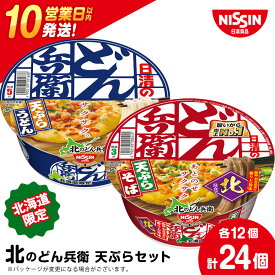 【ふるさと納税】 日清　北のどん兵衛　天ぷらセット＜うどん・そば＞各1箱・合計2箱 日清 インスタント麺 インスタントうどん インスタント 日清うどん そば カップそば 日清そば【北海道千歳市】ギフト ふるさと納税