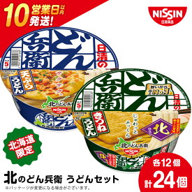 【ふるさと納税】 日清 北のどん兵衛 うどんセット＜天ぷら・きつね＞各1箱・合計2箱 日清 インスタント麺 インスタントうどん インスタント うどん カップうどん 日清うどん【北海道千歳市】ギフト ふるさと納税