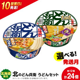 【ふるさと納税】 日清 北のどん兵衛 うどんセット＜天ぷら・きつね＞各1箱・合計2箱 日清 インスタント麺 インスタントうどん インスタント うどん カップうどん 日清うどん【北海道千歳市】ギフト ふるさと納税