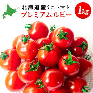 yӂ邳Ɣ[Łzqݕ_rYnI~jg}g(v~Ar[) 1kgkCӂ邳Ɣ[  g}g Y ~jg}g kC ykCΎsz
