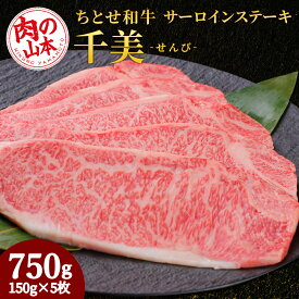 【ふるさと納税】 ちとせ和牛「千美」サーロインステーキ　150g×5枚＜肉の山本＞北海道ふるさと納税 お肉 肉 にく ニク ふるさと納税肉 北海道 千歳市 ギフト 祝い お取り寄せ 牛肉 サーロインステーキ【北海道千歳市】ギフト ふるさと納税