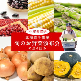 【ふるさと納税】【2026年発送予約】定期便4回 旬の野菜を「年4回」お届け《土居ファーム》 アスパラ カブ ブロッコリー キャベツ とうもろこし じゃがいも 南瓜 ニンニク 人参 玉ねぎ 豆 やさい 千歳 北海道 北海道ふるさと納税 【北海道千歳市】ギフト ふるさと納税