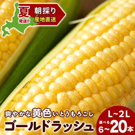 【ふるさと納税】2026年夏発送 とうもろこし ゴールドラッシュ L〜2L 選べる6本〜20本 北海道千歳産 野菜 とうもろこし【北海道千歳市】ギフト ふるさと納税