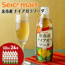 【ふるさと納税】期間限定 セコマ ナイアガラソーダ 500ml 24本 1ケース 北海道 千歳製造 飲料 炭酸 ペットボトル ナイアガラ ぶどう 微炭酸 セイコーマート 千歳 北海道北海道ふるさと納税 ふるさと納税 【北海道千歳市】ギフト ふるさと納税