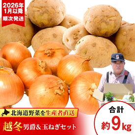 【ふるさと納税】【2026年発送】産地直送「越冬じゃがいも」男爵5kg＆「越冬たまねぎ」4kgセット《 土居ファーム 》 やさい いも 芋 男爵イモ 玉葱 じゃがいも 越冬 野菜 千歳 北海道【北海道千歳市】ギフト ふるさと納税