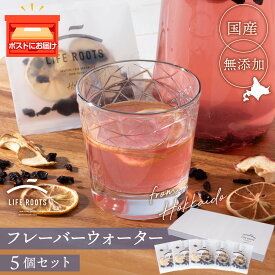 【ふるさと納税】 フレーバーウォーター5個セット ドライフルーツ 無添加 ヘルシー 健康 デトックス 北海道 千歳 フルーツ ギフトハスカップ リンゴ プルーン レモン フルーツ 果物 セット ドライフルーツ【北海道千歳市】ギフト ふるさと納税