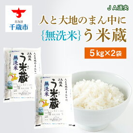 【ふるさと納税】【無洗米】北海道産 う米蔵5kg×2袋無洗米 米 ブレンド米 ななつぼし あやひめ ブレンド う米蔵 北海道米 北海道産 北海道千歳市ギフト ふるさと納税