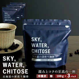 【ふるさと納税】SKY,WATER,CHITOSE 北海道の深煎り珈琲(100g)×3パックレギュラーコーヒー ブレンドコーヒー 深煎り 珈琲 コーヒー インスタントコーヒー 北海道 千歳 北海道ふるさと納税 千歳市 ふるさと納税【北海道千歳市】ギフト ふるさと納税