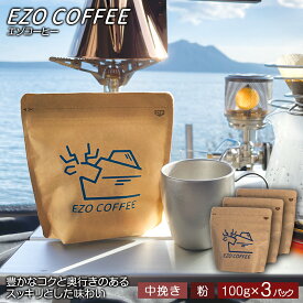 【ふるさと納税】EZO COFFEE エゾコーヒー(100g)×3パックレギュラーコーヒー シティロースト 珈琲 コーヒー インスタントコーヒー 北海道 千歳 北海道ふるさと納税 千歳市 ふるさと納税【北海道千歳市】ギフト ふるさと納税