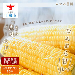 ふるさと納税 とうもろこし その他の野菜 きのこの人気商品 通販 価格比較 価格 Com