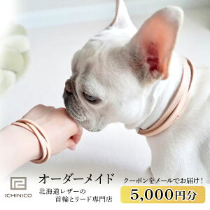 yӂ邳Ɣ[ŁzICHINICOICVbv dČ5,000~ybg {v  V_[[h qD`[J[  L I[_[Ch qD O  C`jR kCӂ邳